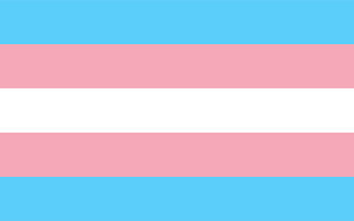 transgender-flag.jpg